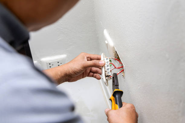 Best Electrical Upgrades for Homes  in Thonotosassa, FL